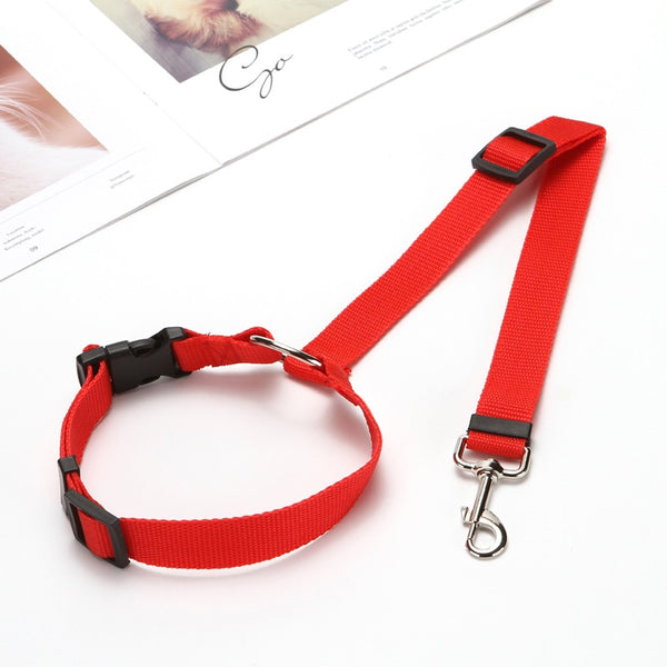 Two-in-one Pet Car Seatbelt and Leash